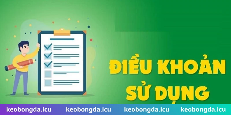 Bộ điều khoản & điều kiện quan trọng nhất