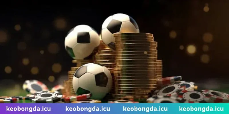 cách đọc kèo bóng đá