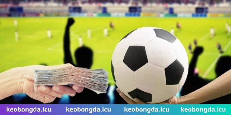 Cách kiếm tiền từ cá độ bóng đá phải có kế hoạch