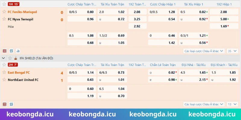 Cẩm nang nhận định kèo chấp đồng banh