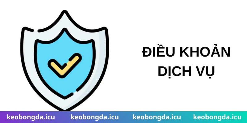 Điều khoản & điều kiện nêu rõ quyền và giới hạn