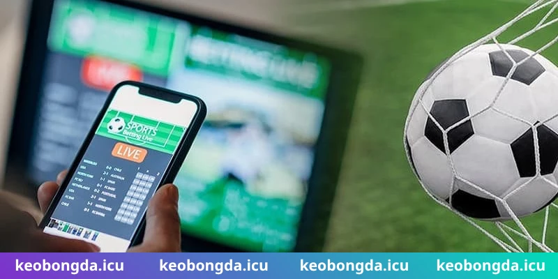 Kế hoạch chơi có trách nhiệm bền vững